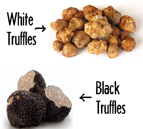 truffles.jpg
