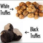Black Truffles vs White Truffles