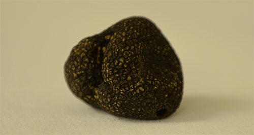 Real truffles are subtler and more complex than truffle oil