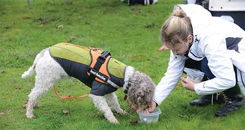 CPDT-KA dog trainer Alana McGee with dog