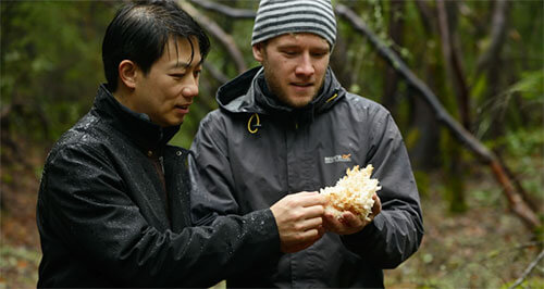 Robert Chang and Paul Thomas of the American Truffle Company with an edible find
