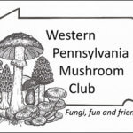 Western Pennsylvania Mushroom Club