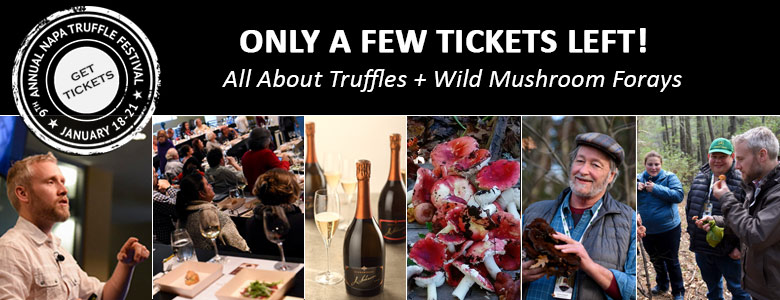 Just a few tickets left! All About Truffles and Wild Mushroom Forays, 9th Annual Napa Truffle Festival - Jan 18-21, 2019, Tickets Now Available