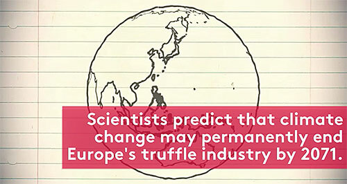 Scientist predict that climate change may permanently end Europe's truffle industry by 2071. Credit Food & Wine video