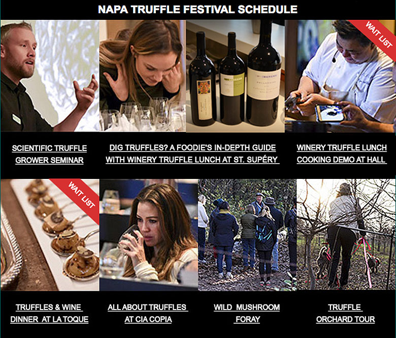 Check out highlights of the 8th Annual Napa Truffle Festival